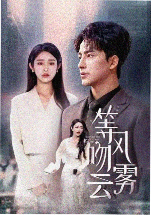 在线看电视剧 琪琪在线影院《风起陇西》